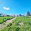 land for sale paphos municipality paphos 8290456 thumbnail 14043208