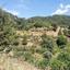 land for sale vavatsinia larnaca 1196456 thumbnail 5596402