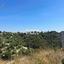 plot for sale tsada paphos 1161456 thumbnail 10032059