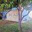 4 bedroom detached house for sale palodeia limassol 8156556 thumbnail 14508958