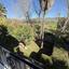 6 bedroom detached house for rent pyrgos limassol limassol 8343556 thumbnail 14896811