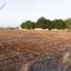 land for sale palaiometocho nicosia 944556 thumbnail 15601802