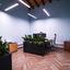 studio office for rent limassol municipality limassol 1795556 thumbnail 5959612