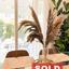 3 bedroom bungalow sold coral bay paphos 8058656 thumbnail 12968917