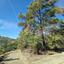 land for sale agios mamas limassol 1583656 thumbnail 9850787