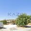 land for sale paramytha limassol 8145656 thumbnail 16523182
