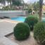 3 bedroom detached house for rent parekklisia limassol 1905756 thumbnail 14923402