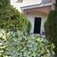 4 bedroom detached house for rent peyia paphos 8809756 thumbnail 16864585