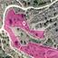 land for sale dierona limassol 7872756 thumbnail 11386780