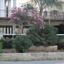 studio healthcare facility for sale potamos germasogeias limassol 627756 thumbnail 320217