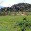 land for sale agios dimitrianos paphos 232856 thumbnail 283404