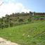 land for sale agios dimitrianos paphos 232856 thumbnail 283406