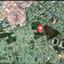 land for sale aradippou larnaca 1750856 thumbnail 12653964