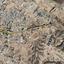 land for sale lympia nicosia 8174856 thumbnail 15597199