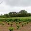 land for sale polemi paphos 8627856 thumbnail 15861717