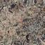 land for sale polemi paphos 8627856 thumbnail 15861723