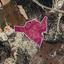 land for sale peyia paphos 1777956 thumbnail 15107869