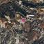 land for sale peyia paphos 1777956 thumbnail 15107870