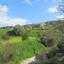 14884 SQM Land for sale in Mamonia, Paphos thumbnail 16512199