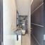 5 bedroom detached house for sale livadia larnacas larnaca 8413166 thumbnail 15361777