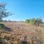 land for sale kathikas paphos 7502166 thumbnail 9350339