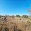 land for sale kathikas paphos 7502166 thumbnail 9350340