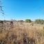 land for sale kathikas paphos 7502166 thumbnail 9350342