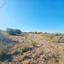 land for sale kathikas paphos 7502166 thumbnail 9350344