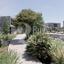 4 bedroom detached house for sale geroskipou plage paphos 8543266 thumbnail 16570834