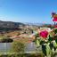 4 bedroom detached house for sale parekklisia limassol 1574266 thumbnail 5128417