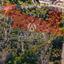 land for sale pernera famagusta 1236266 thumbnail 13738062