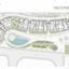 3 bedroom apartment for sale agios athanasios limassol 7784366 thumbnail 10417605