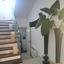 4 bedroom town house for rent agios athanasios limassol 1895366 thumbnail 14923444