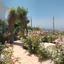 5 bedroom detached house for sale lofos tala paphos 8913366 thumbnail 17423230