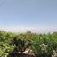 5 bedroom detached house for sale lofos tala paphos 8913366 thumbnail 17423234