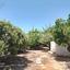 5 bedroom detached house for sale lofos tala paphos 8913366 thumbnail 17423241