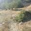 land for sale tsirion limassol 7549366 thumbnail 9528071