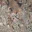 plot for sale germasogeia limassol 1714366 thumbnail 12584790