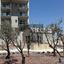 1 bedroom apartment for rent aglantzia nicosia 8083466 thumbnail 16422611