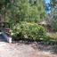2 bedroom bungalow for sale alethriko larnaca 8989466 thumbnail 18109312