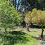 2 bedroom bungalow for sale alethriko larnaca 8989466 thumbnail 18109321
