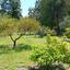 2 bedroom bungalow for sale alethriko larnaca 8989466 thumbnail 18109329