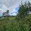 land for sale drynia paphos 7839466 thumbnail 15596570