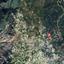 land for sale panagia paphos 946466 thumbnail 15600059