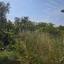 land for sale sotiros agios ioannis larnaca larnaca 8225466 thumbnail 15723962