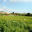 land for sale xylofagou larnaca 866466 thumbnail 739407