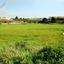 land for sale xylofagou larnaca 866466 thumbnail 739408