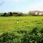 land for sale xylofagou larnaca 866466 thumbnail 739410