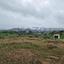 plot for sale monagroulli limassol 8185466 thumbnail 16710229