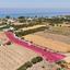land for sale argaka paphos 8629566 thumbnail 15868974